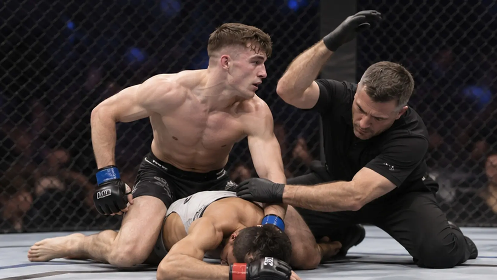 Sudija prekida MMA borbu u parteru